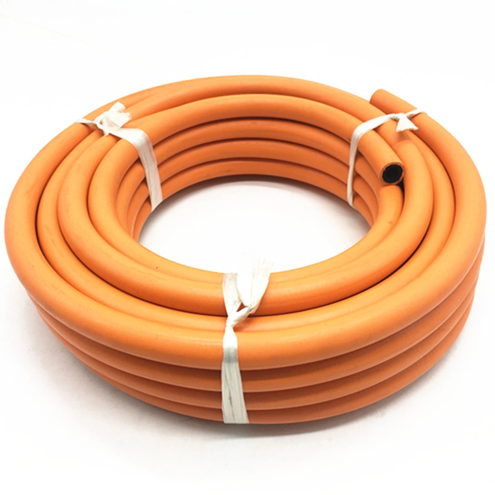 Flexible Propane LPG Gas Hose Pipe