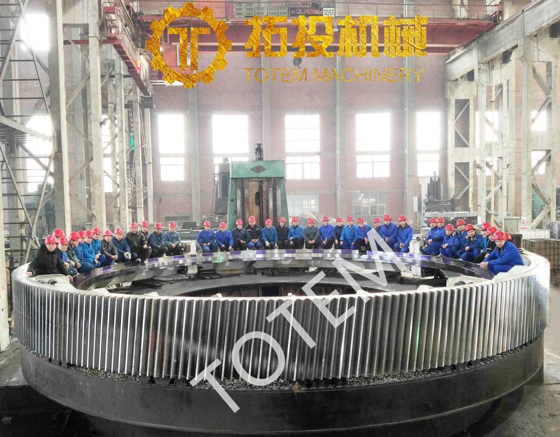 OEM Nonstandard Helical Girth Gear Ring, Helical Gear with Big Module