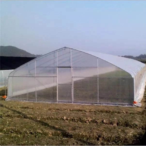 Production manuelle de type Xinhe Nude ou Carton Plant tunnel Greenhouse