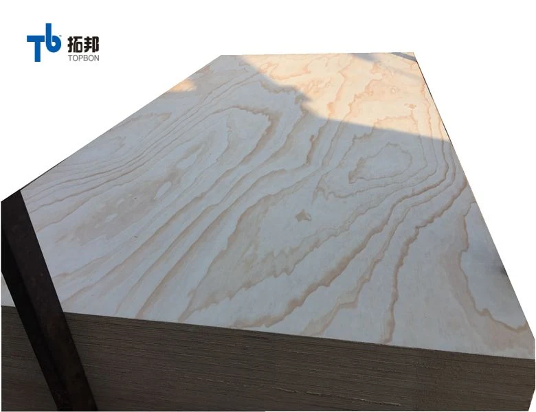 Timber Pine/Birch/Poplar Plywood with India for Furniture