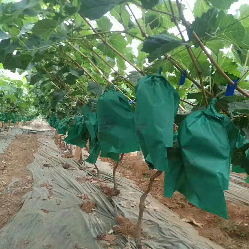 Fruits Rain Waterproof Coated with Wax Mango Fruit Growing Tree Bag Fruit Protection Guava Bag Grape Bag