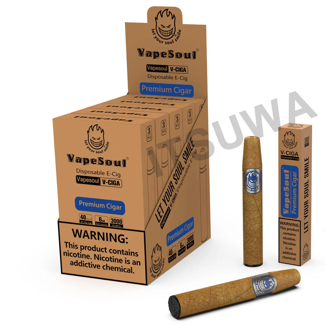 Wholesale/Supplier Vape Factory Price Desechables 3000 Puff Electronic Cigar Pen Vape