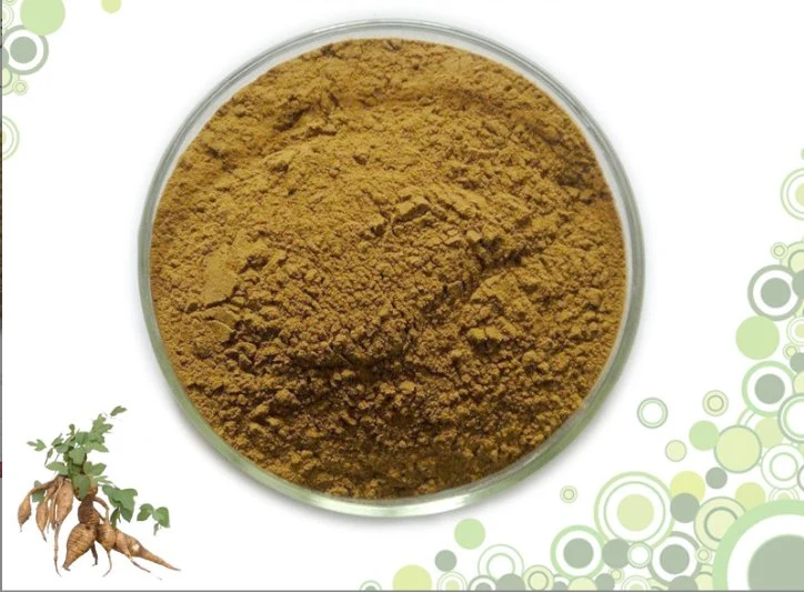 High Purity Puertaria Lobata Extract Powder Kudzu Root Extract Puertarin 30%