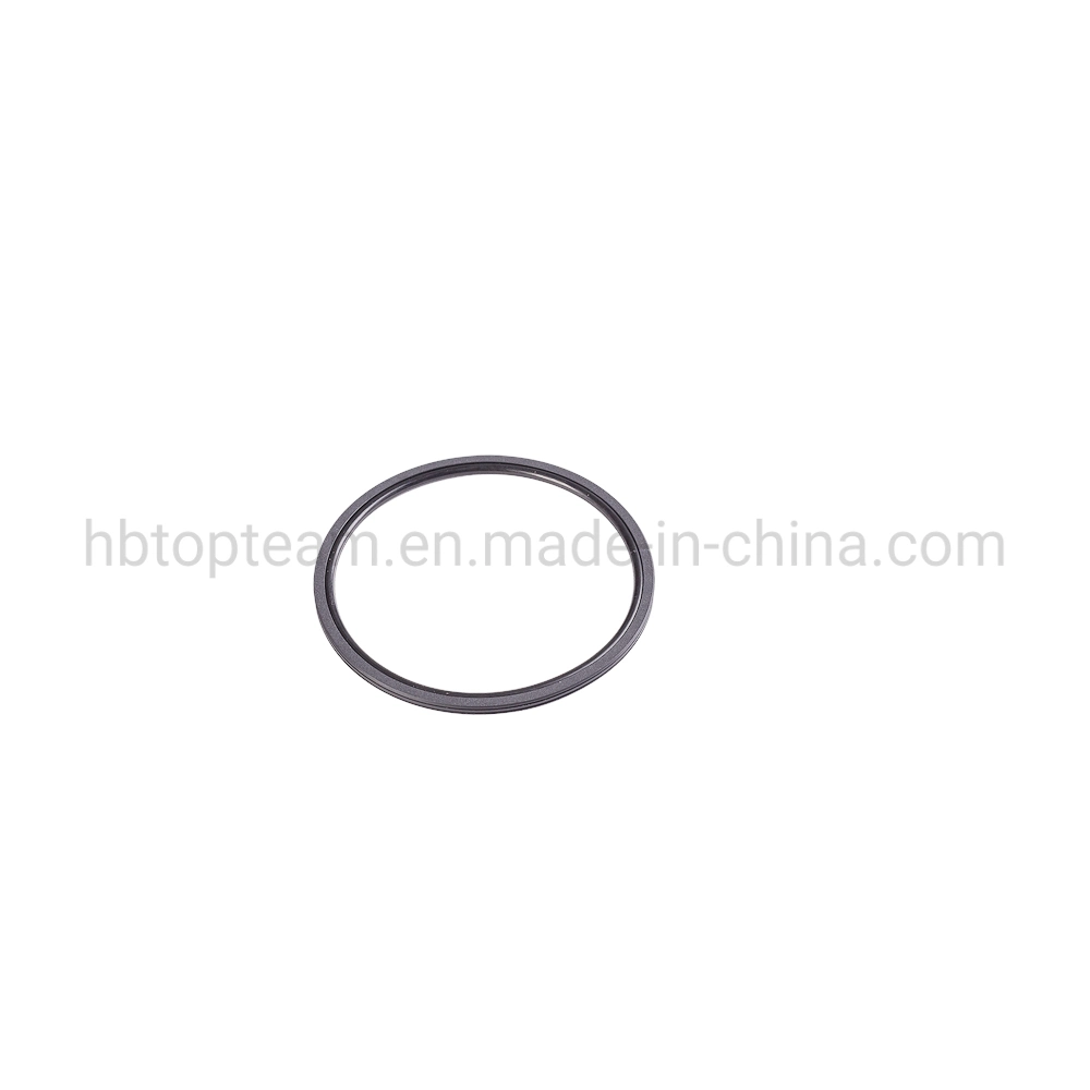 China Manufacturer Oep/Tg4/M16/Oq/Yrb/SKD/Gns Hydraulic Cylinder Double-Action Piston Rotary Glyd Seal Ring