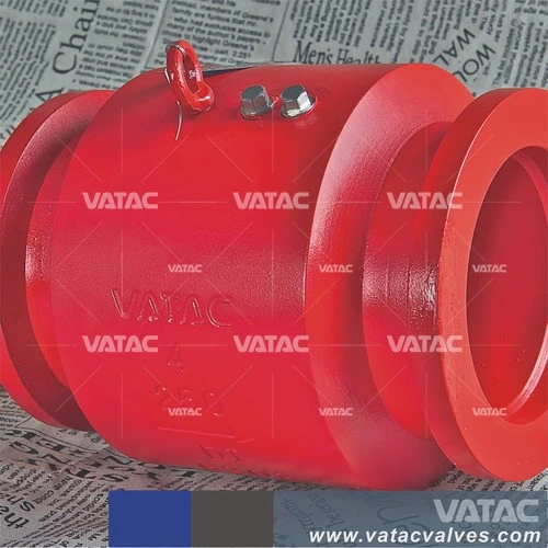 Cast Iron Clamp Connection Dual Plate Check Valve