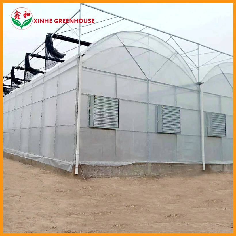 Hot-Galvanized Flowers Green House Agricultural with Plastic Film