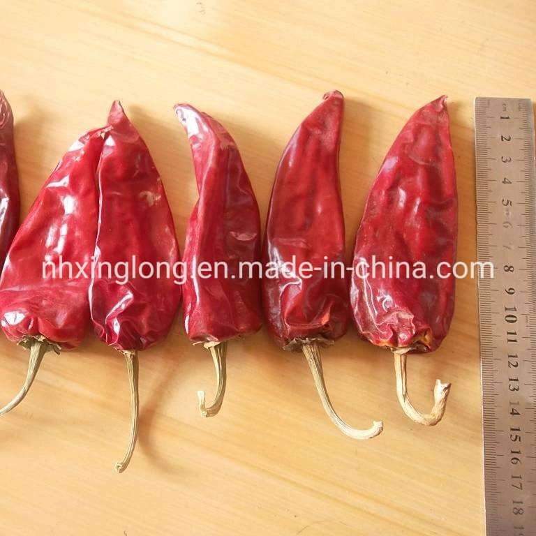 Chinese Chilli Factory/Yidu Chilli/Sweet Paprika Chilli/Dried Jinta Chili/Puya Chili/Mexico Guajillo Chili