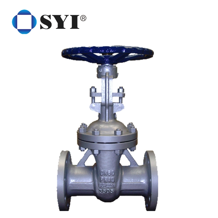 ANSI API 600 OEM Water Gas Flanged Cast Steel SS304 SS316 Gate Valve