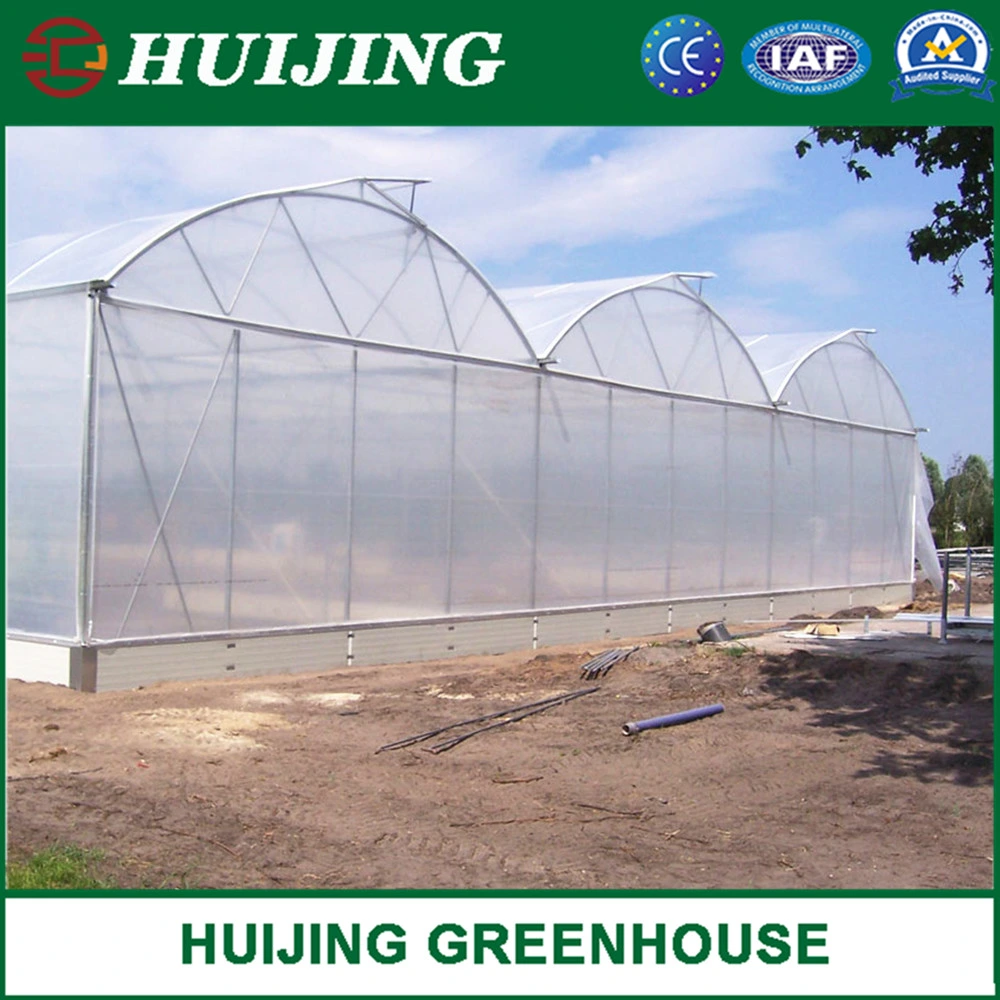 Professional Multi-Span Film Poly Tunnel Agriculture Greenhouse with Hydroponic System