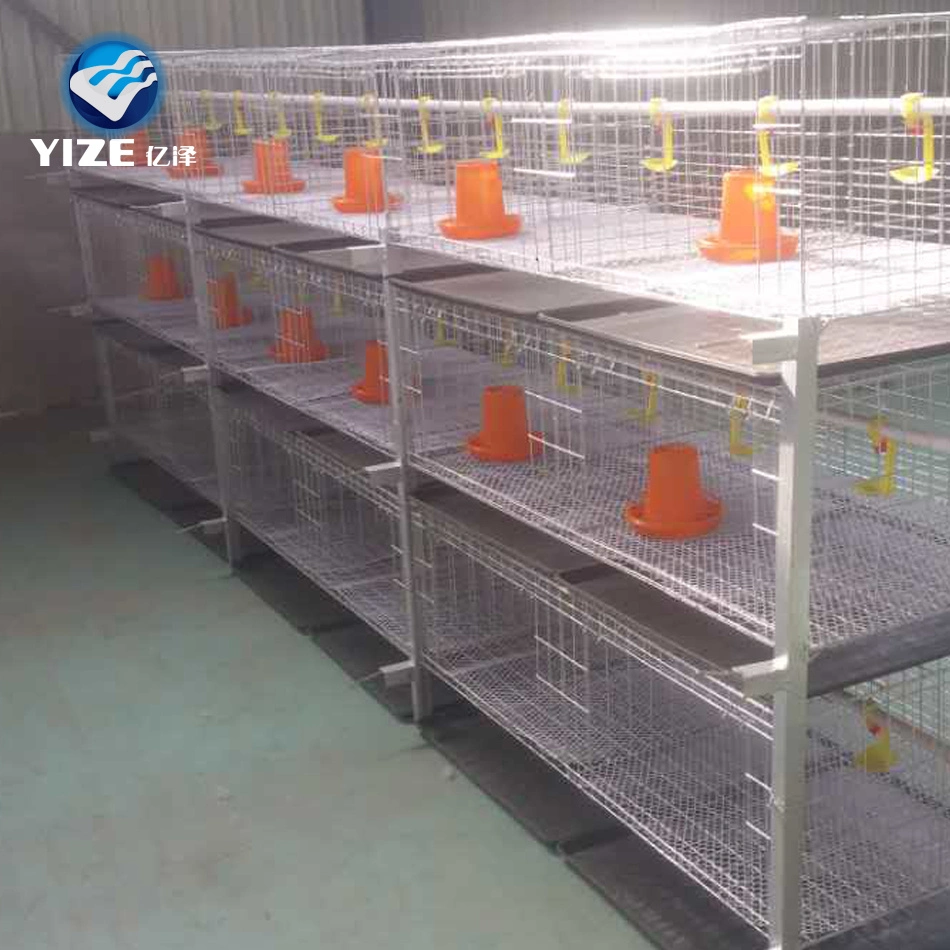 Granja de aves Venta caliente Tipo H Broiler capa jaula de codorniz Con equipo