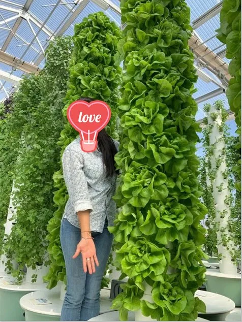 2020 New Agricultural Greenhouse Rotary Aeroponic Tower Garden Vertical Hydroponic Systemhot Sale Products