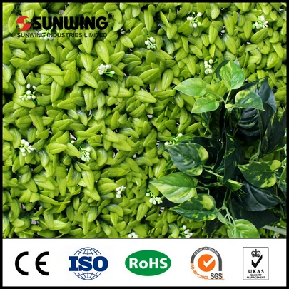 Dekorative künstliche grüne Wand-Großhandel/Lieferantsanpflanzungen mit SGS-Bescheinigung