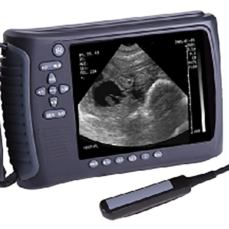 Affordable and Efficient Vet Ultrasound for Veterinary Animal Clinics & Hospitals