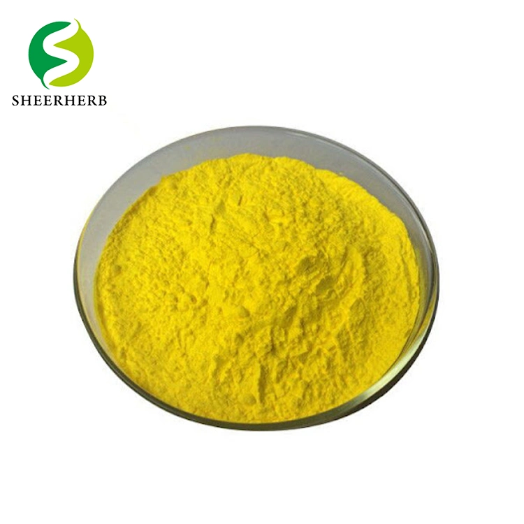 High quality/High cost performance  Best Berberine Supplement 98% Berberine Hydrochloride Berberine