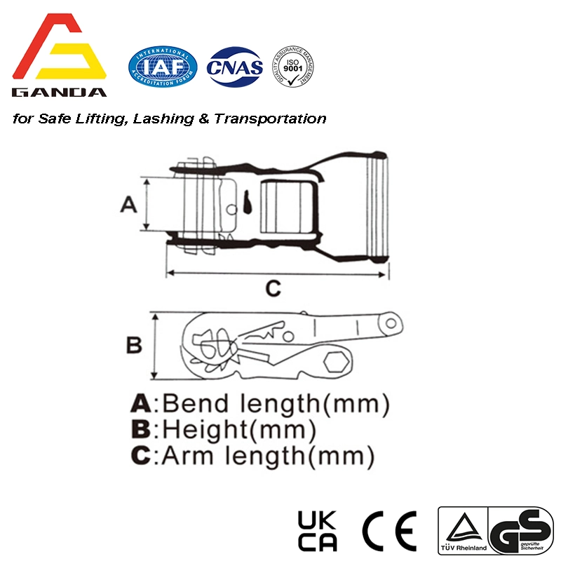 75mm 10t White Zinc Plated Ratchet Buckle for Ratchet Tie Down Strap