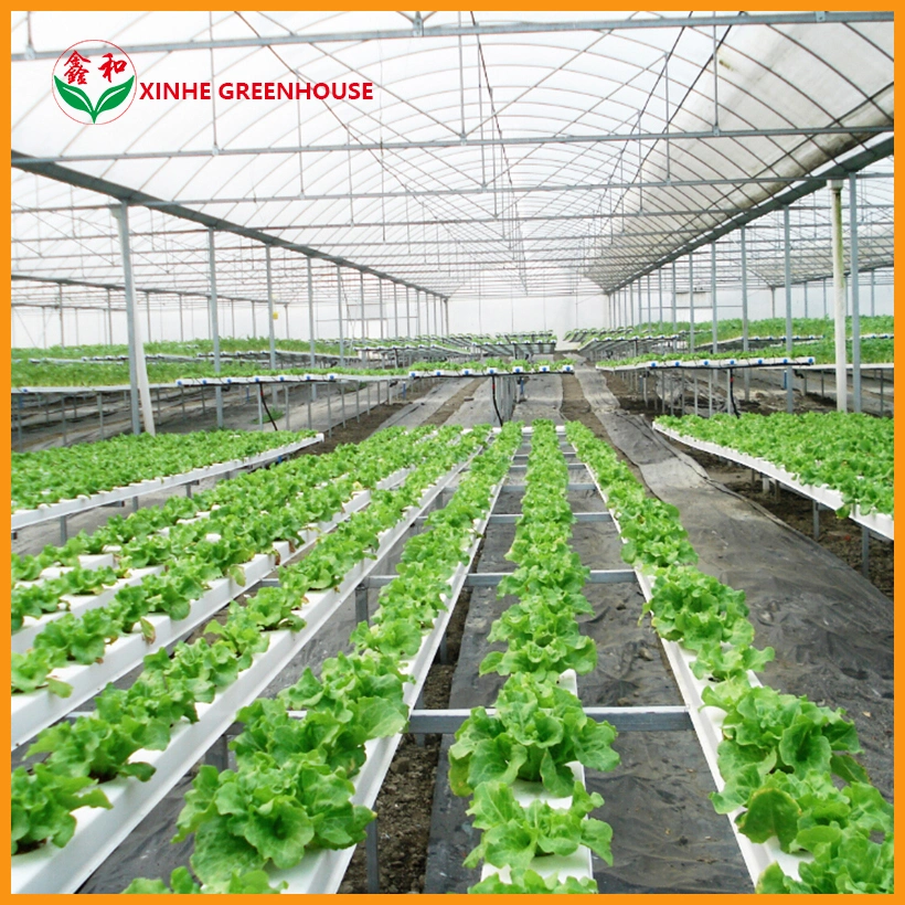 Fashion Nude Customized Xinhe Greenhouse Growing Indoor PVC Planting Nft Systems Cultivation Hydroponic System