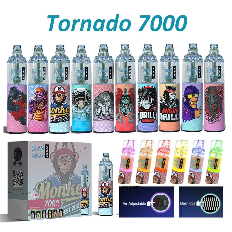 Wholesale/Supplier I Vape Disposable/Chargeable E Cigarette Randm Tornado 7000 Puffs with 14ml E Liquid