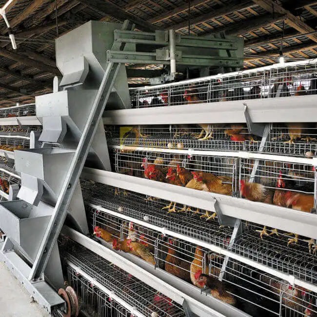 2023 Venda a quente Equipamento de criação automática de aves de capoeira bateria de camada de galinha Gaiola