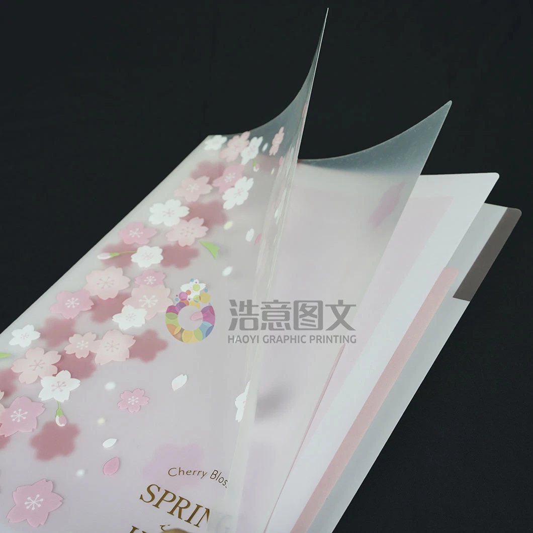 Chine Wholesale PP Data Collection Volume Packaging de dossiers transparents personnalisés