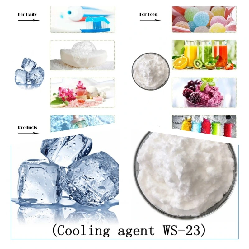 Zhii Wholesale/Supplier Bulk Price Food Grade Raw Material Menthol Crystal Ws-23 Cooling Agent