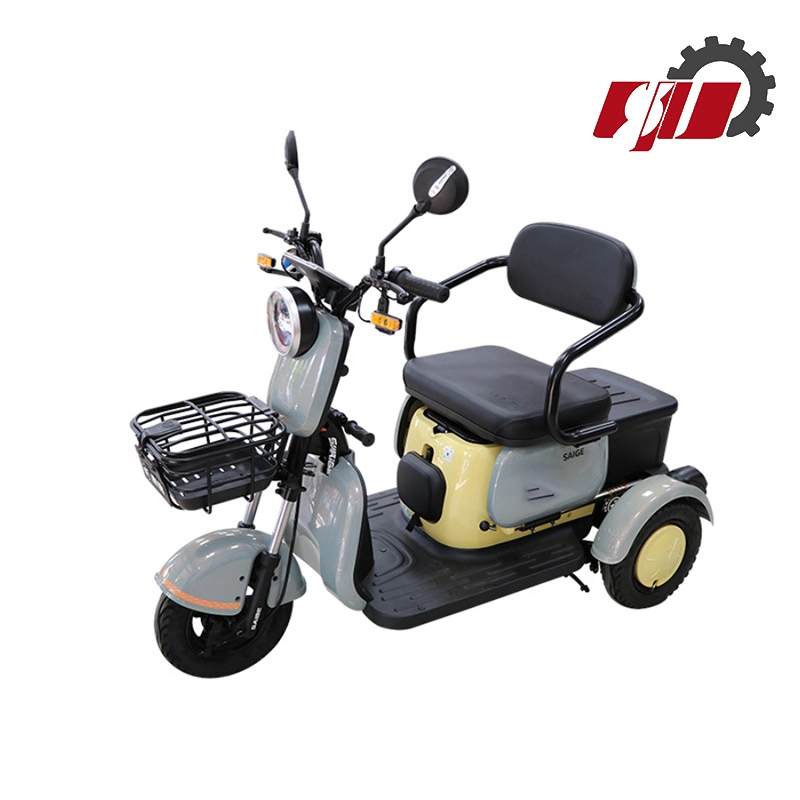 China Profession Factory Direct Supply Disabled 3 Wheels Handicapped Electric Tricycle Bicycle