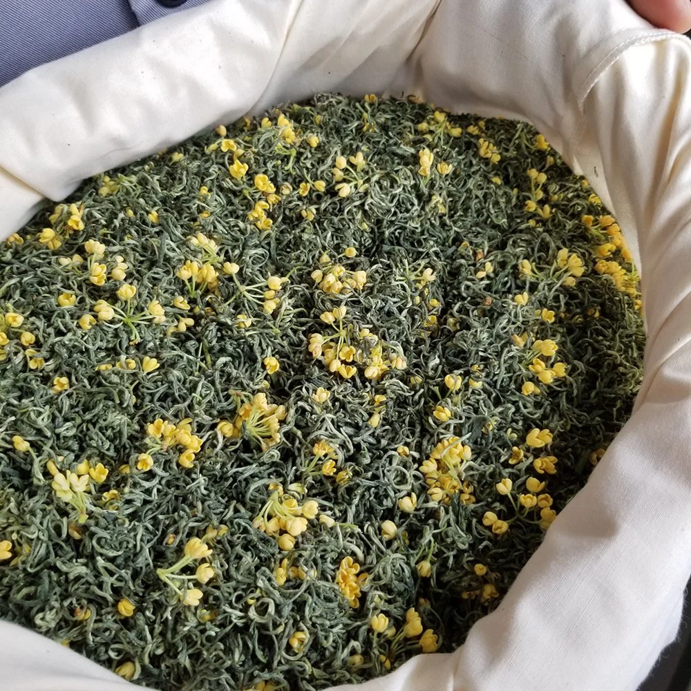 Bi Luo Chun chá de sabor Prémio Chineses Osmanthus Saúde misturados Osmanthus folhas soltas de Chá Verde
