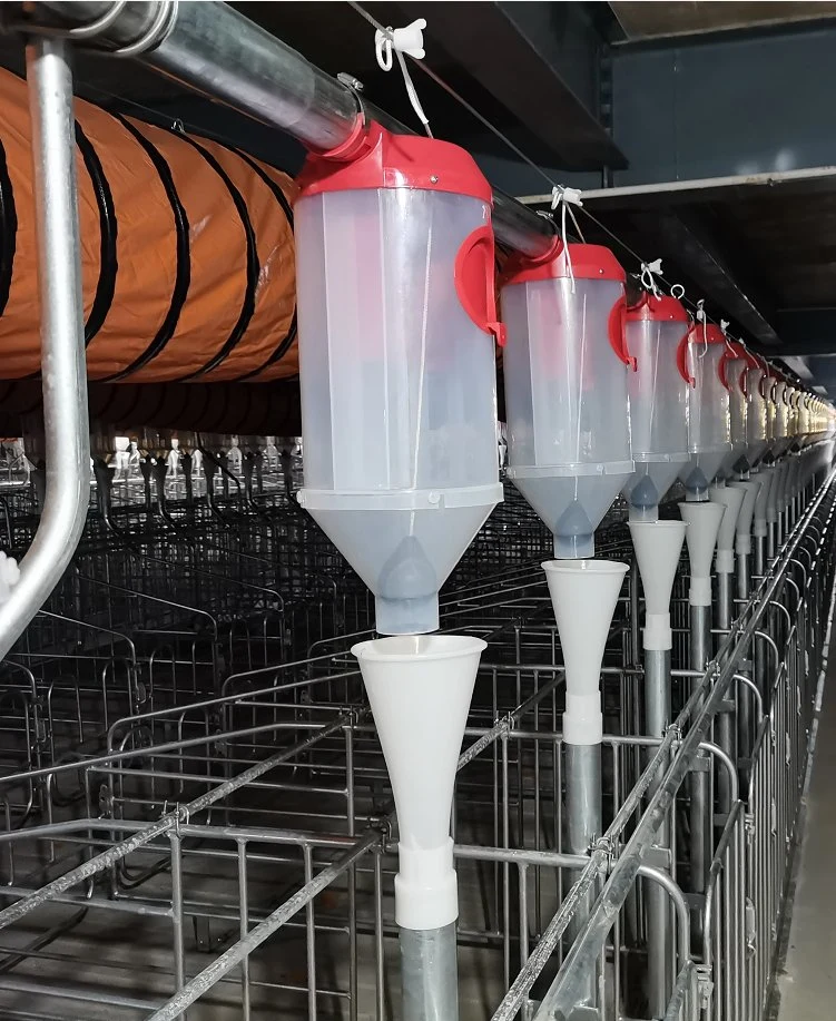 Swine House Equipment Feeding System Plastic Feed Dispenser