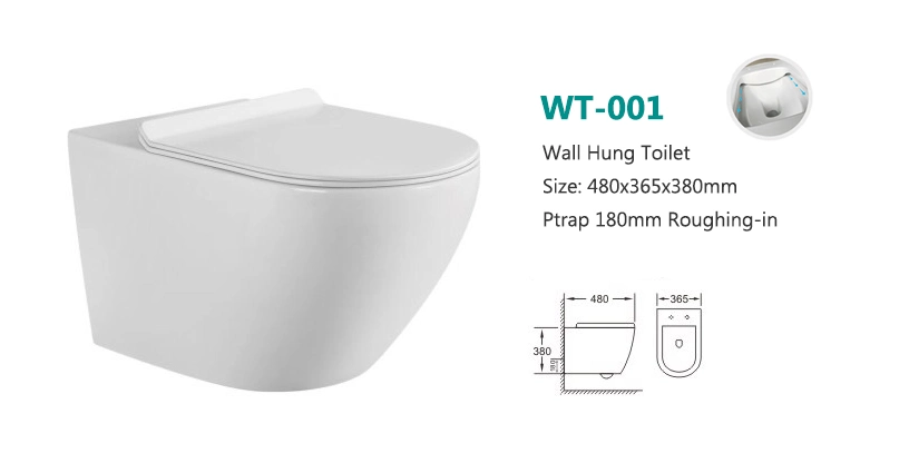 Hot Sell Israel Market Bathroom P-Trap Washdown One Piece Toilet /Rimless Flush Wall Hung Toilet