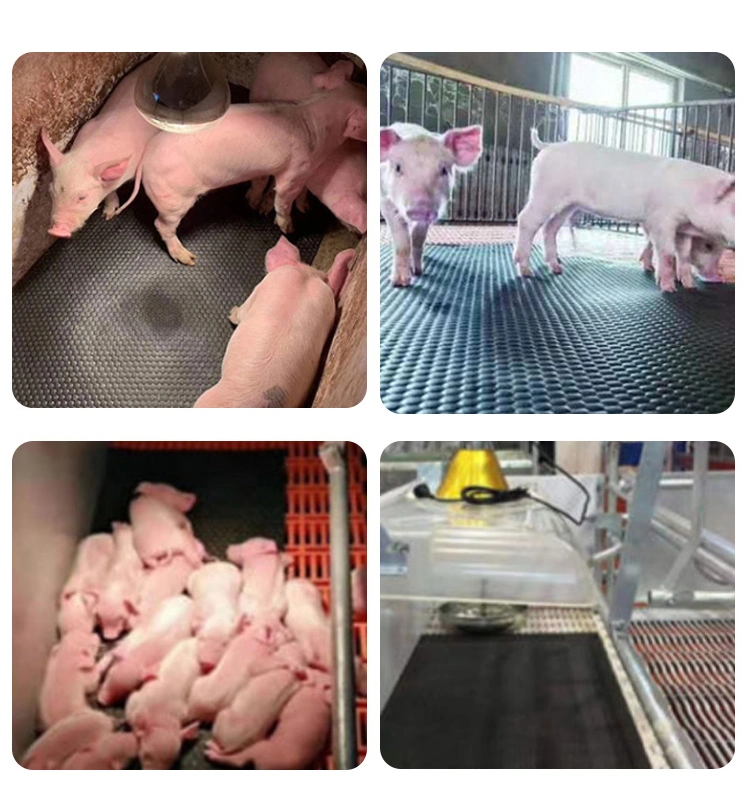 Rubber Pad The Best Choice for Pig Farm Nursing Pad Custom Piglet Nursing Pad Rubber Nursing Pad