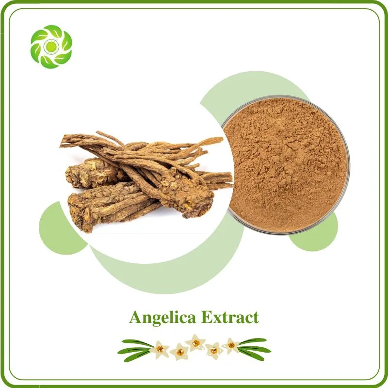 Dongquai P. E Angelica P. E. Dongguai P. E Angelicae Extract Angelica Dongquai Extract Angelica Sinensi P. E Angelicae (DangQuai) P. E Chinese Angelica Extract