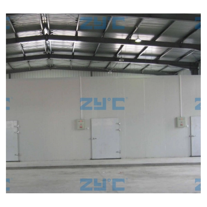 Best Ice Store Solar Cold Room Solar Power Cold Storage Room for Fish Meat