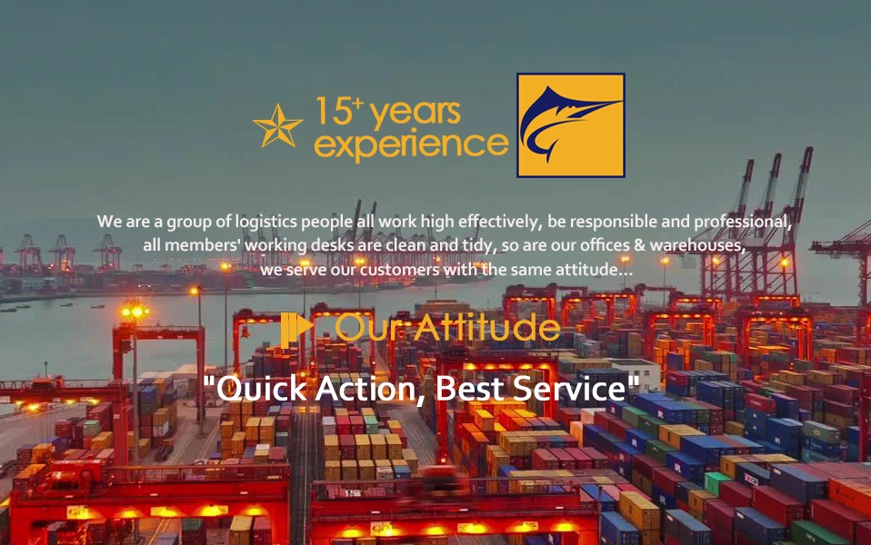 China to Australia The Most Reliable Freight Forwarding Services, The Most Professional Logistics Services