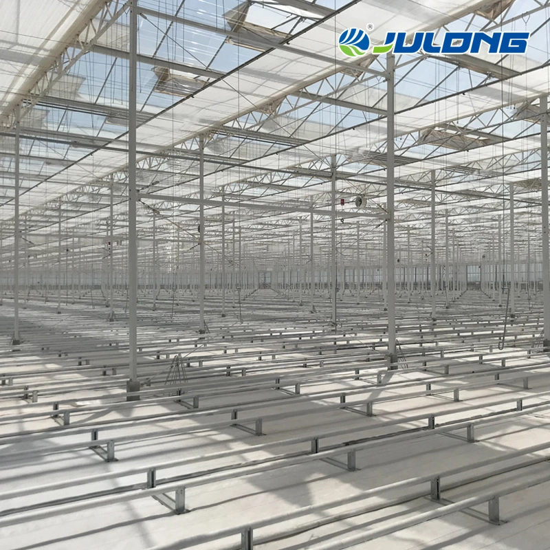 Customized Eco-Friendly Multispan Galvanized Steel Frame Polycarbonate Greenhouse