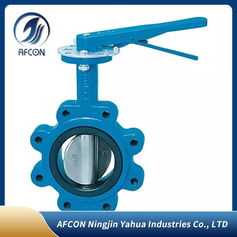 Custom Ductile Iron / Cast Iron Wafer Butterfly Valve