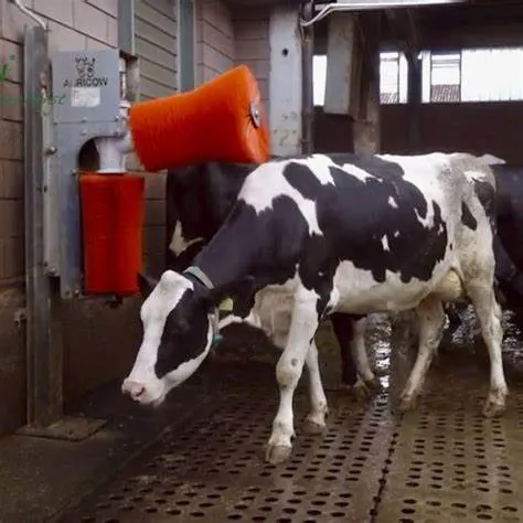 Brocha de cuerpo para ganado Equipo de limpieza para la cría de ganado Masaje // Cow Equipo