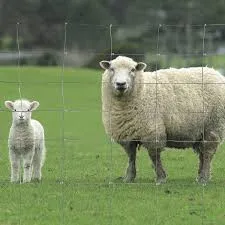 Vente en gros bovins/moutons/ferme/champ/cerf à treillis métallique clôture galvanisée de terre de chasse