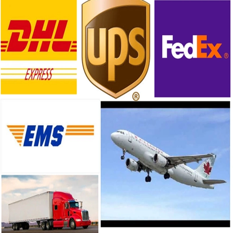 Air Freight Door to Door Service UPS DHL FedEx TNT Shipping Agent From China to Mexico