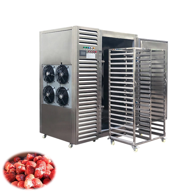 178L Flash Freezing Machine Meat Frozen Machine with Trayer From China