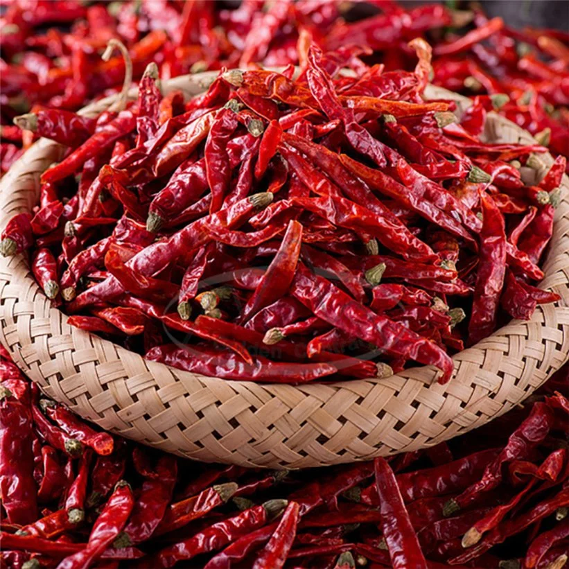 2023 Nueva temporada cosecha de Chile picante rojo seco suministro en El mejor precio