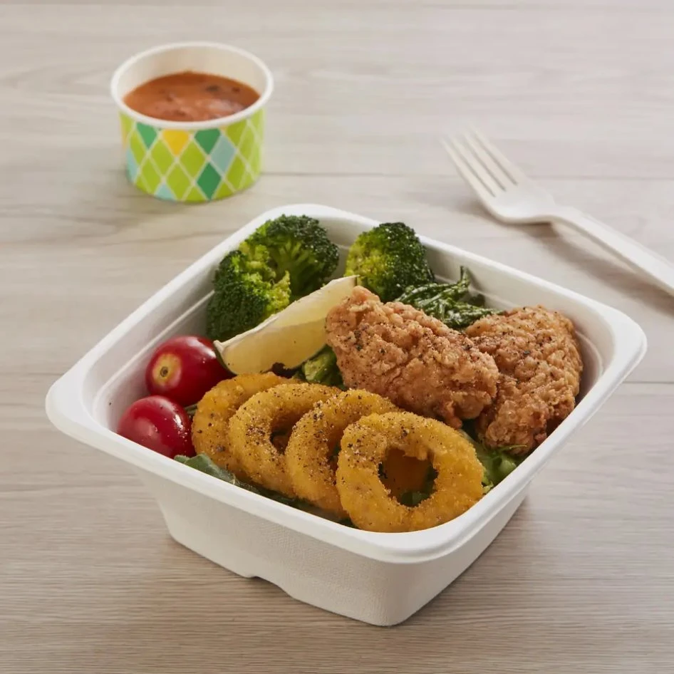 Biodegradable High Quality Paper Pulp Disposable Food Container Lunch Food Box Sugarcane Bagasse Biodegradable Tableware with Lid