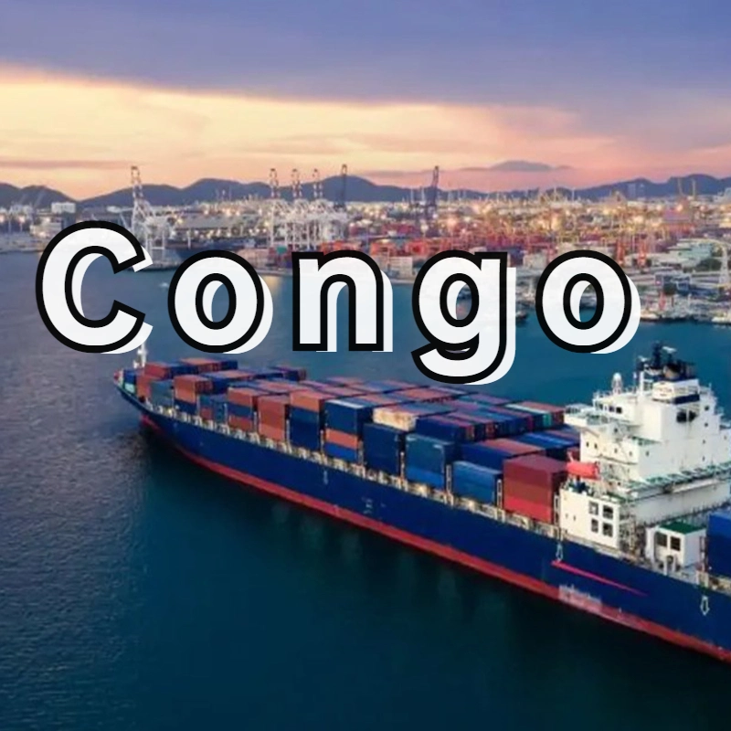 Sea Shipping Agent From China Guangzhou to Congo