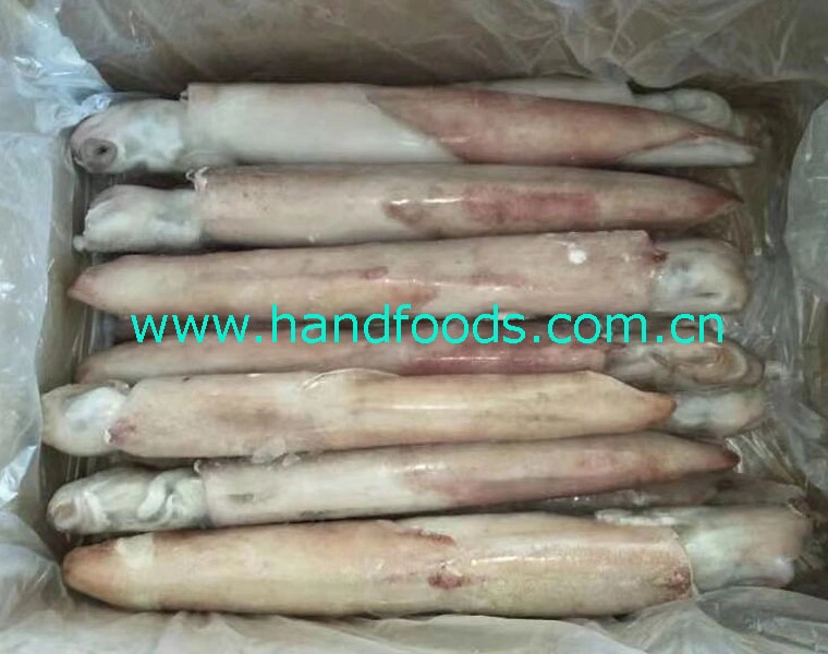 Cheap Price Hot Sale Seafood of Frozen Illex Squid