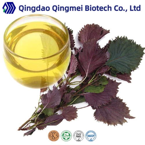 High Quality Natural Plant Extract Perilla Seed Oil