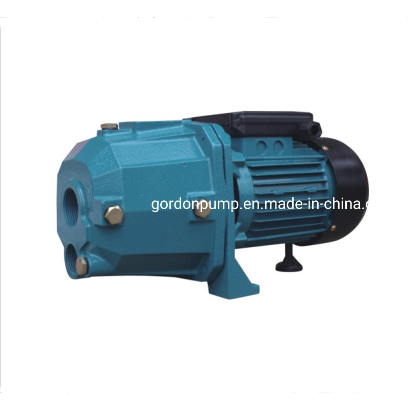 Electric Self Priming Deep Well Jet Pumps High Pressure Submersible Dp550A