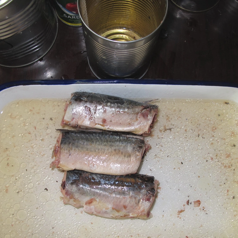 Mackerel Fish Canned Mackerel in Brine 425g in Wholesale/Supplier Price From China