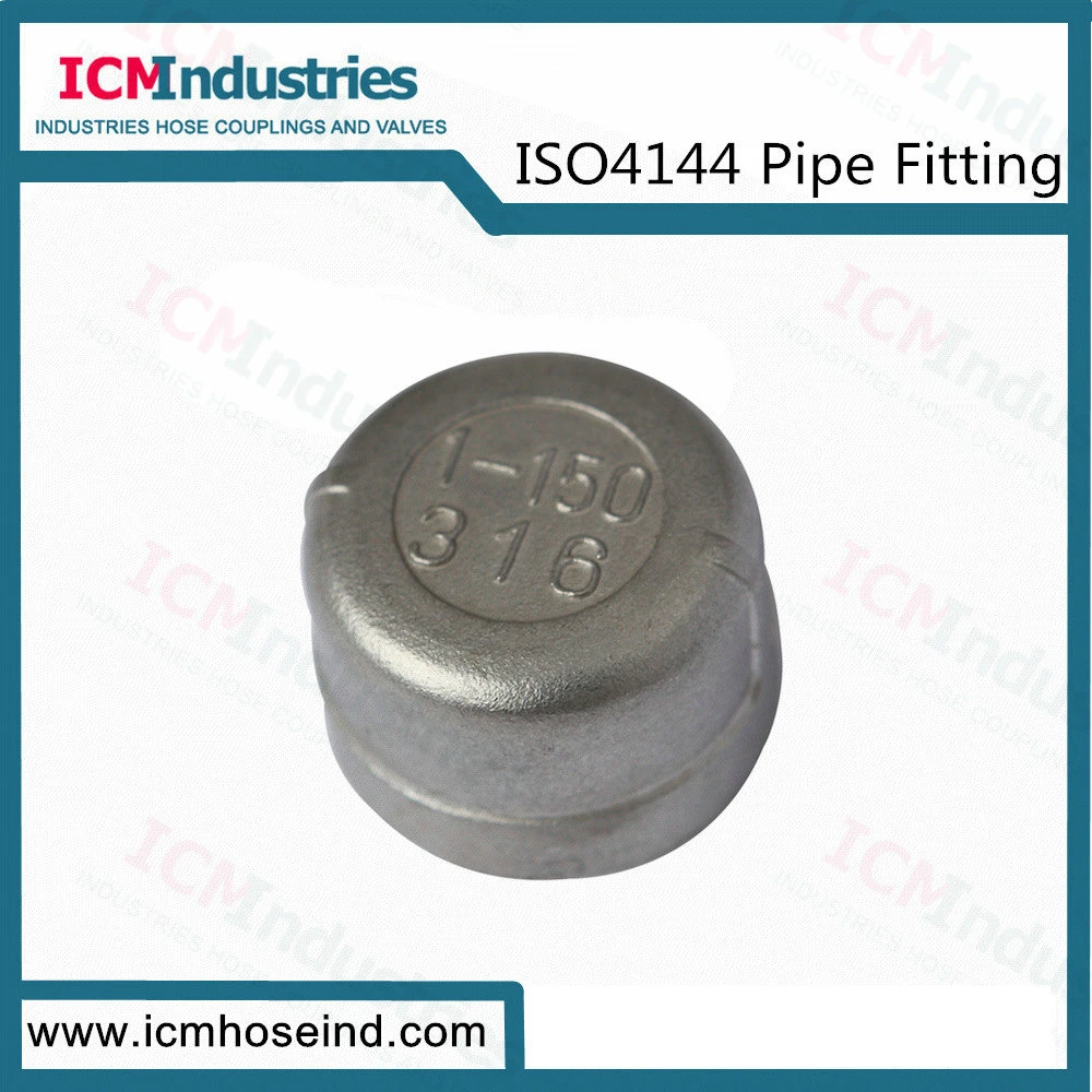 Stainless Steel 45 Degree Elbow Threaded Fittings/ISO 4144 Pipe Fitting