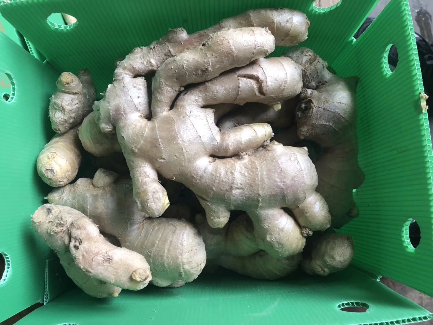 High quality/High cost performance  Dried Ginger Market Price