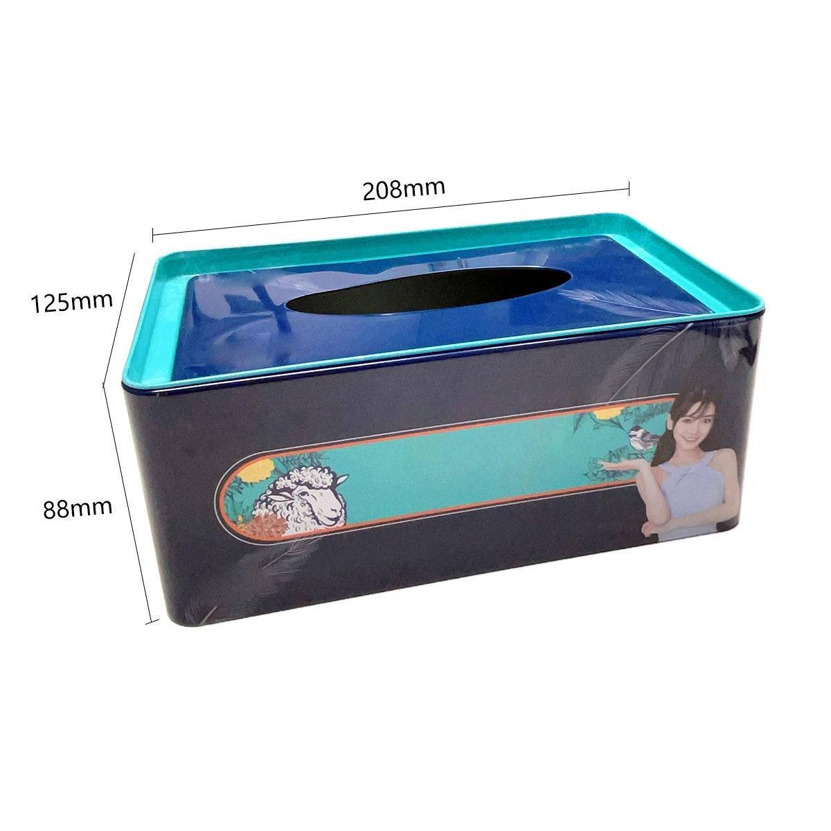 Manufacturers Tinplate Tissue Tin Box Rectangular Window Drawing Paper Metal Box