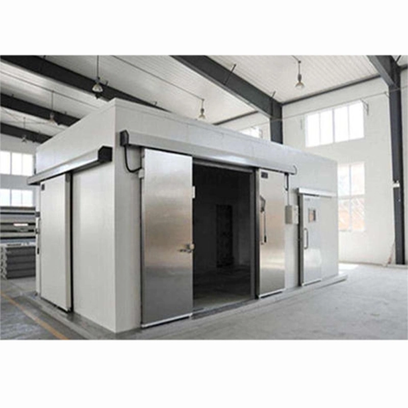 Cold Storage with Equipment Pharmaceutical Medicines Cold Rooms Freezer