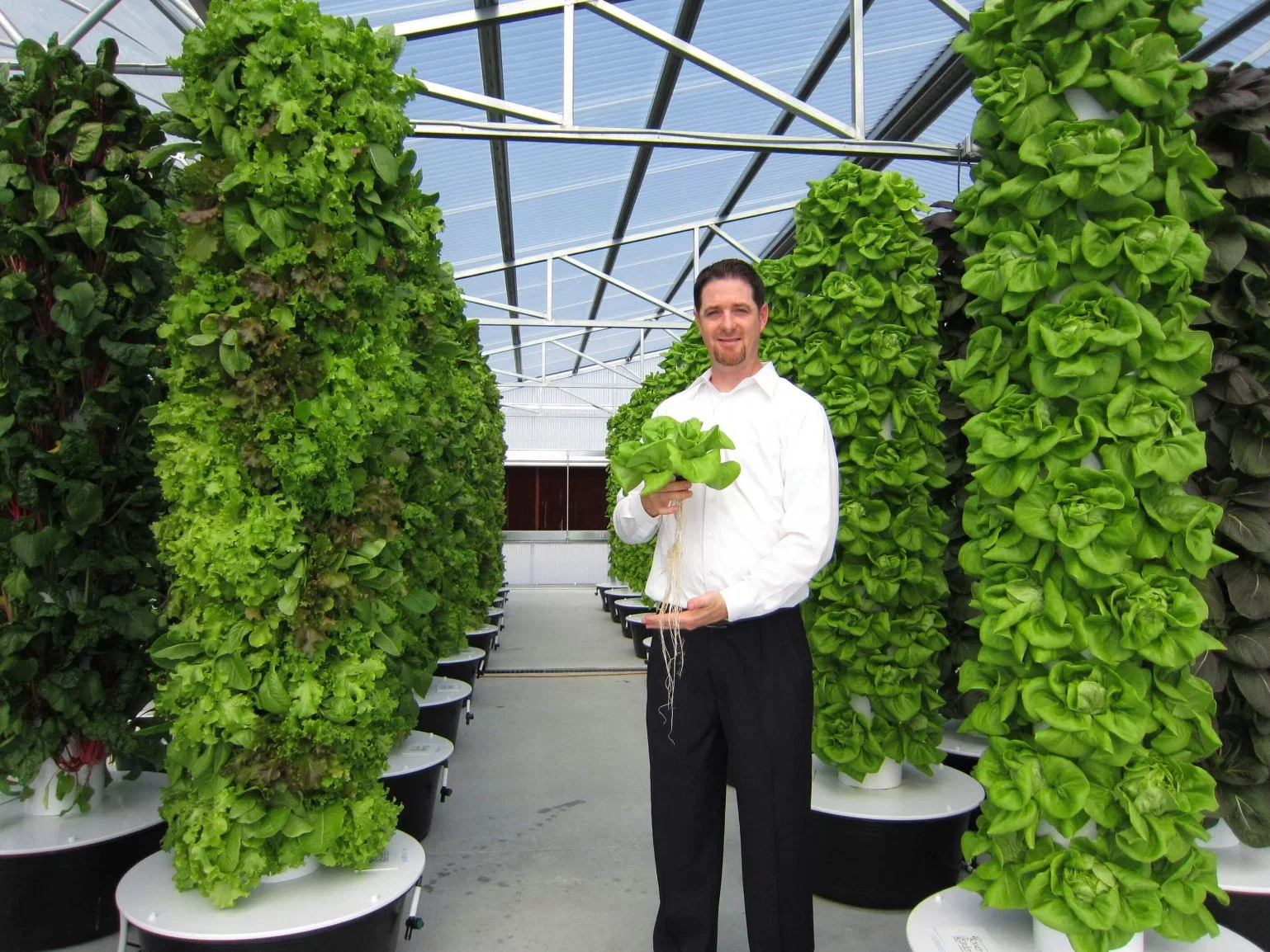 Hydroponics Greenhouse